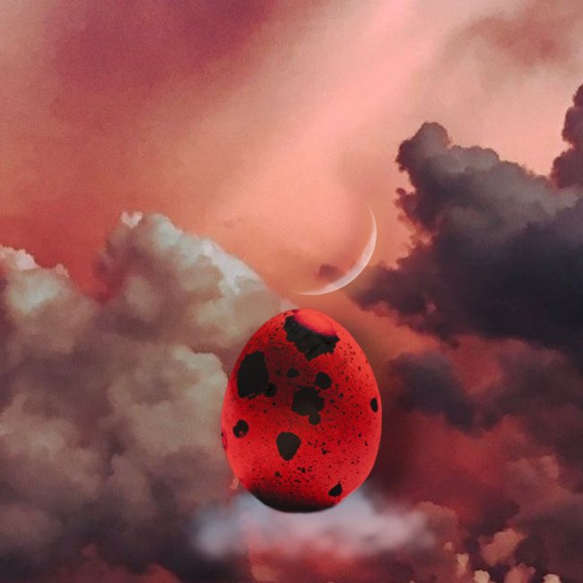 Everyone that got Quail Listed in the Direct Message inbox.

Open a Discord Ticket -> Send Screenshot of the Message.

Team will get back to you shortly &amp; give you the role. 🥚 

PS: We will host an art contest soon for FREE MINT. 👀

#QuaiNFTs #QuaiNetwork #QuaiCommunity