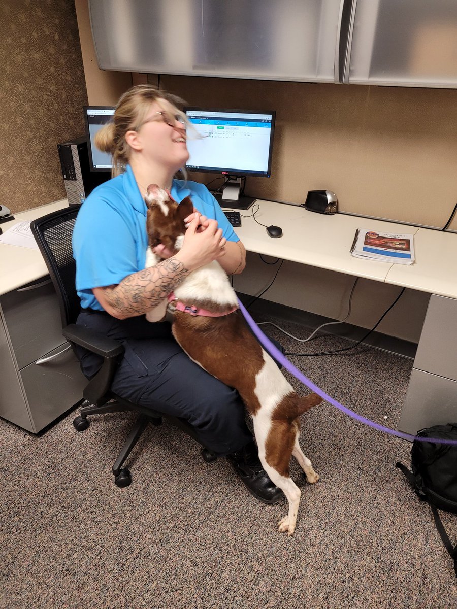 RAAEMS's tweet photo. What pairs perfectly with frozen treats as part of #nationalemsweek? 🍧 A Paws for Paramedics visit from our friends @RichmondSPCA! 🐾🐶 We loved having White Out stop by! She is so sweet! If you're looking for a new companion to take home, visit her at the SPCA! https://t.co/dxZNpTZtMJ