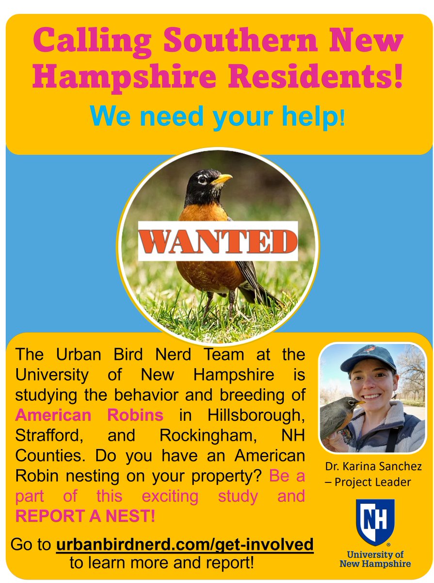UrbanBirdNerd's tweet photo. The American Robin Project is now in NH and I need your help! If you have American Robins nesting in your yard - consider reporting it to https://t.co/mbOJJcy3Yj. This is my first year working in NH so please spread the word! #urbanecology #urbanbirds #NewHamsphireBirds https://t.co/fvHTaiIIDp