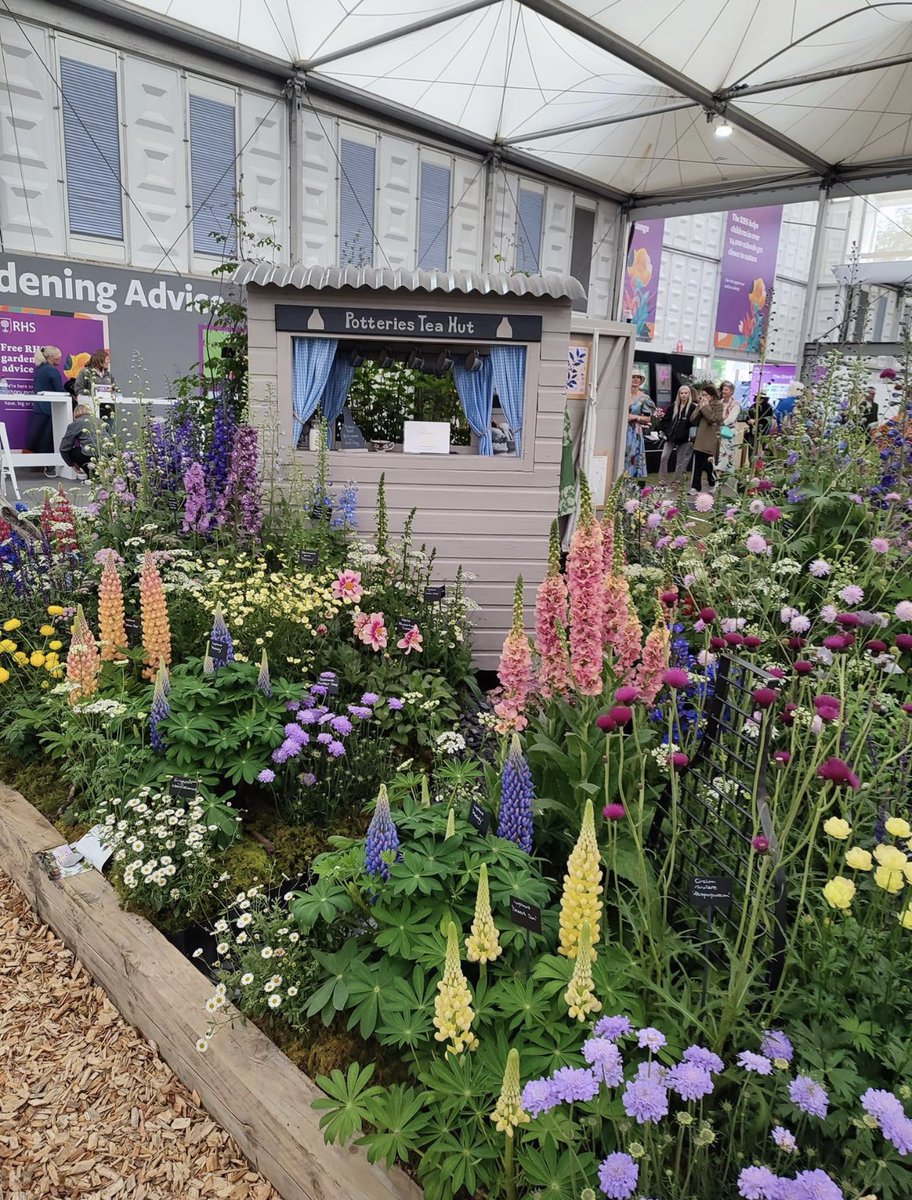Catch Barry talking to Adam Frost tonight about his @The_RHS Chelsea journey @ 8pm on BBC2 

 #chelsea #chelseaflowershow2023 #rhschelsea #rhschelseaflowershow #staffordshiremoorlands #staffordshiremoorlands #stokeontrent #showgarden #bbcgardenersworld #gardenersworld