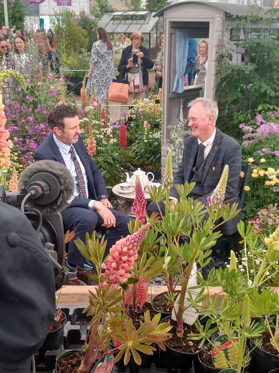 ProctorsNursery's tweet photo. Catch Barry talking to Adam Frost tonight about his @The_RHS Chelsea journey @ 8pm on BBC2 

 #chelsea #chelseaflowershow2023 #rhschelsea #rhschelseaflowershow #staffordshiremoorlands #staffordshiremoorlands #stokeontrent #showgarden #bbcgardenersworld #gardenersworld https://t.co/gXB6GI41Na