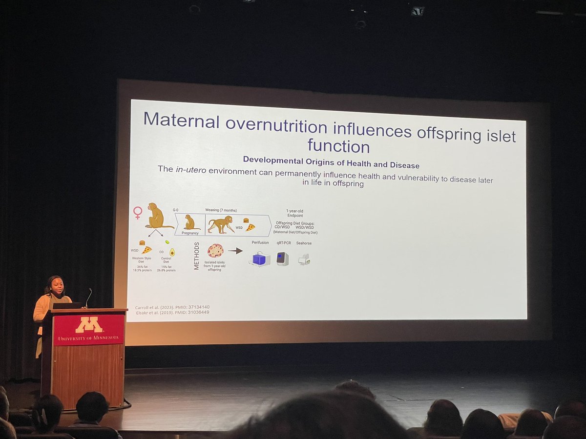 Fantastic talk from <a href="/GannonLab/">GannonLab</a> student and rising star @BetaCellBelle at #MIC2023. Super cool data and great presentation, Darian!