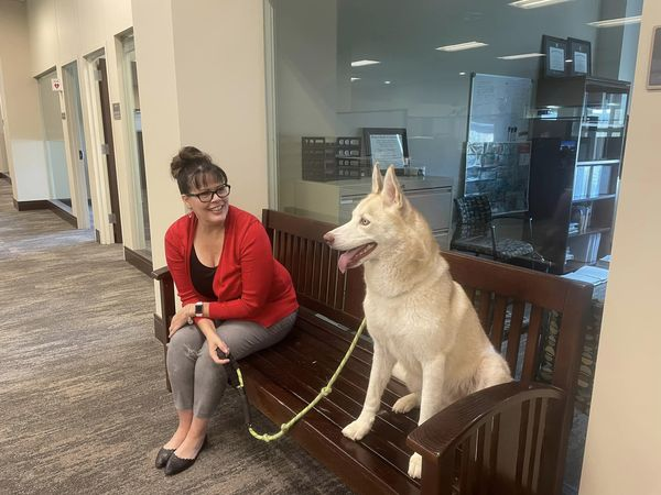 Today's guest speaker at City Hall! Willow is a 2YO Husky! Gorgeous girl, beautiful crystal eyes. Typical high energy Husky needs an active household. Loves everyone she meets!