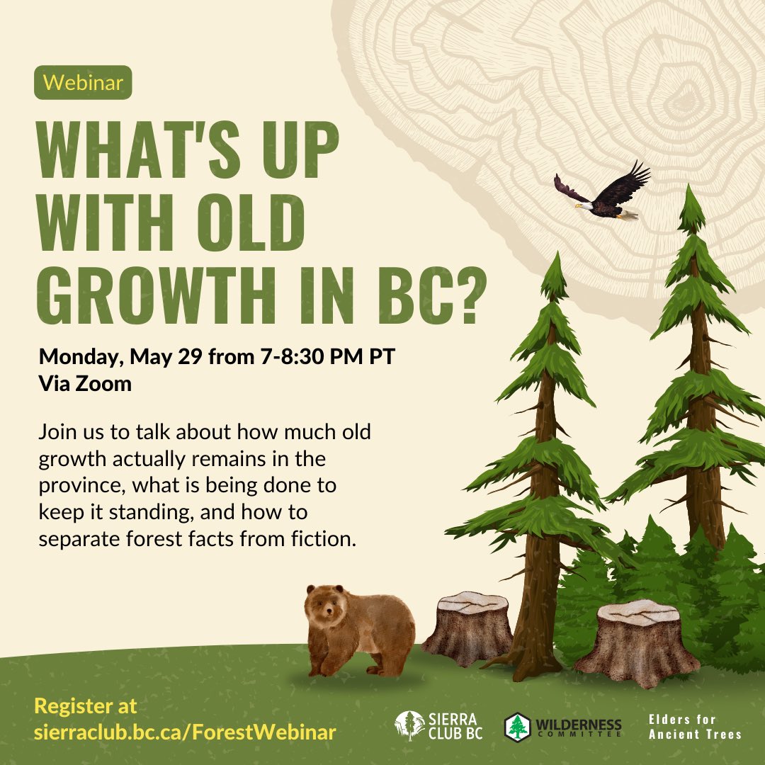 Are you wondering where things are at with old-growth forests in BC? How much is left vs how much is threatened? What's changed under the @bcndp and what hasn't?

Join us on Monday night to find out:

sierraclub.bc.ca/webinar-whats-… #bcpoli #oldgrowth #WorthMoreStanding