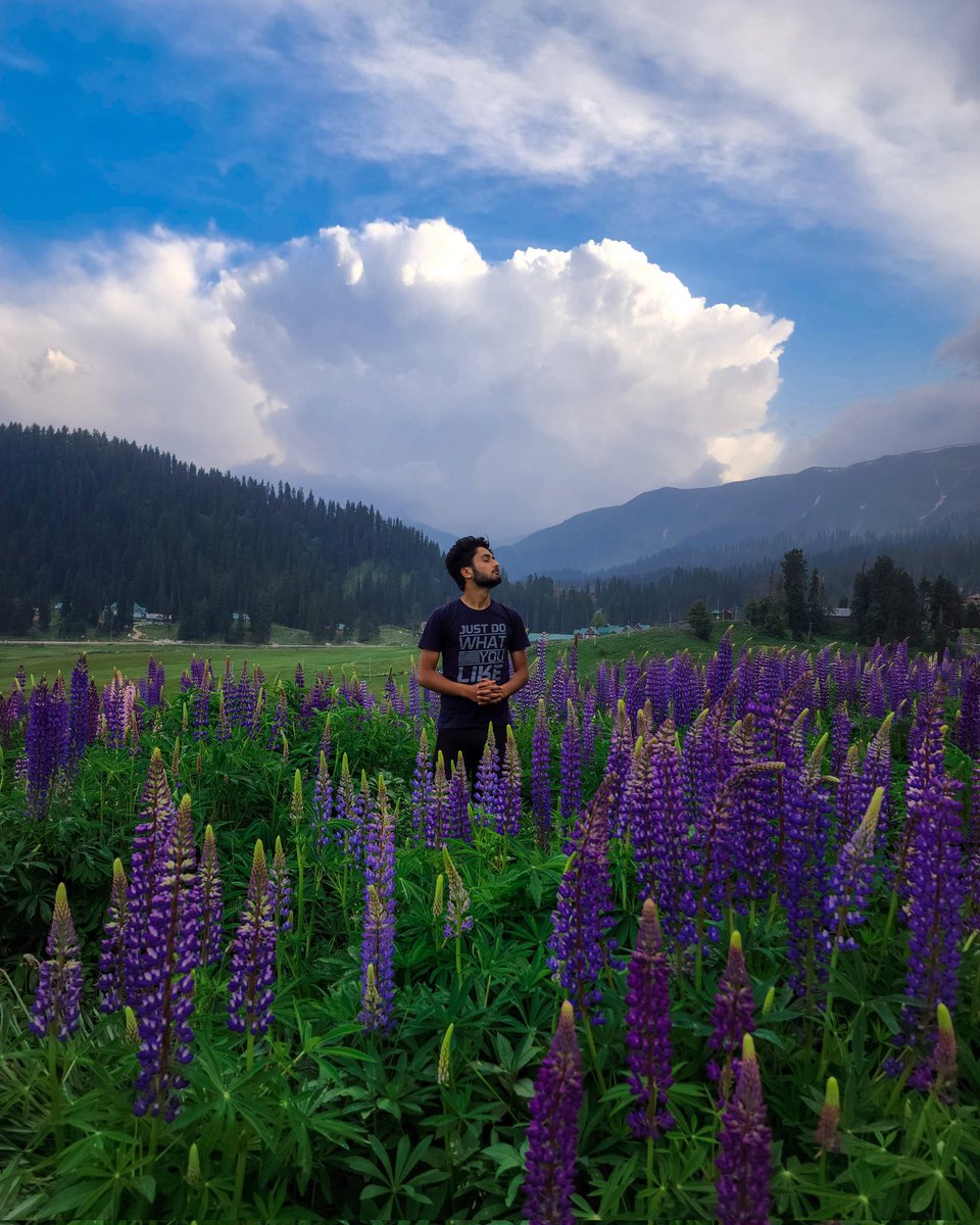 Umer Nazir tweet media