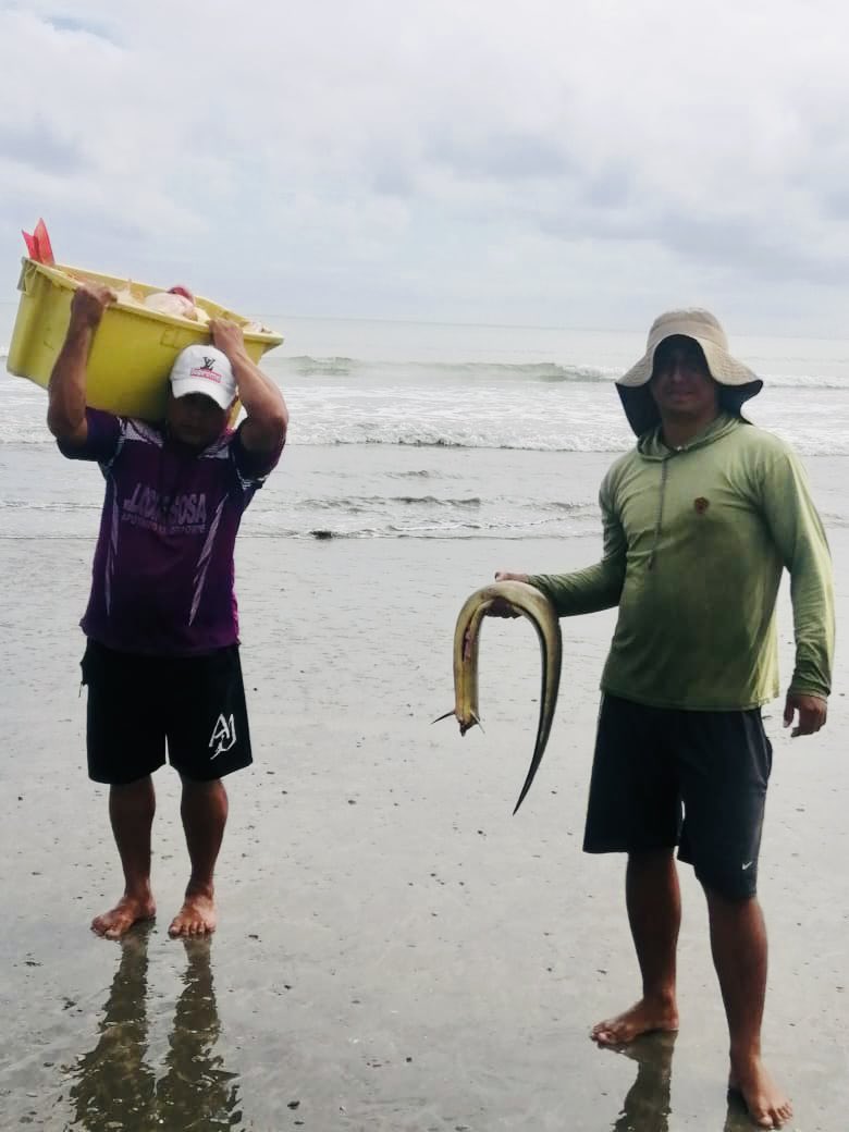 IpiapEcuador's tweet image. ➡️ ➡️Las especies más representativas fueron #Pargo #Lunarejo #Cabezudo #Camotillo #PargoDentón #CorvinaPlateada entre otras. Las embarcaciones de los puertos mencionados utilizaron para sus faenas de pesca