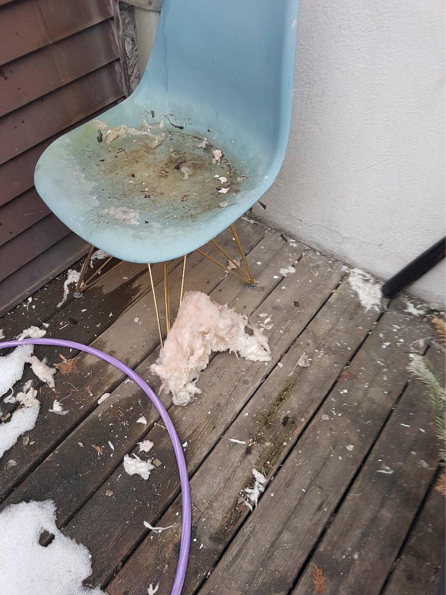 2tinystars's tweet photo. Waiting for maintenance since 2020, waiting for a hearing since 2021, waiting for a housing bilaw inspection since 2022

@R2HTO @blogTO @311Toronto @HousingRightsCA @SHJNetwork @CTVToronto @TenantAdvocacy @JessicaBellTO @NDPStPauls https://t.co/w11W4XacNf