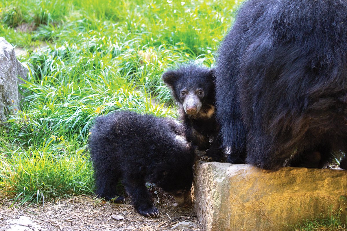 Kory Aversa - Philly Publicist tweet media