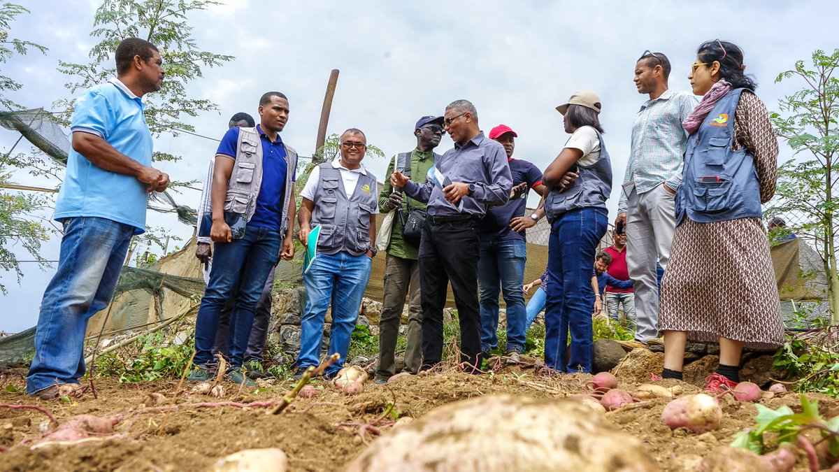 FIDAfriqueOuest's tweet photo. "Le FIDA est un partenaire incontournable du #CaboVerde. Les programmes cofinancés par le FIDA ont fortement contribué à la résilience, au développement agricole🌽🌾,la réduction de la pauvreté et à l'inclusion sociale". @Gilbert35135841 

@Jo_Puri @SientaHaoua @Oportun43197243 https://t.co/6mPc72zO6z