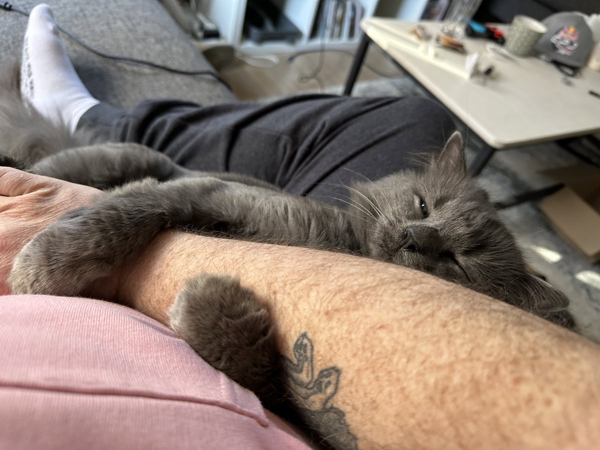 Matt Suttner 🦌 tweet media