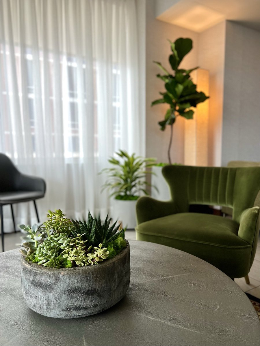 Being surrounded by green plants = pure happiness… 
#biophilicdesigns #interiordesign