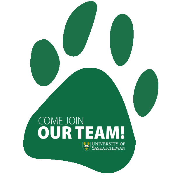 GMCTL_UofS's tweet photo. The Gwenna Moss Centre for Teaching and Learning has just posted an exciting new permanent position for a Manager, Teaching Innovation, at USask. 
Find the posting here ➡️ https://t.co/jhBetPcjNG https://t.co/8uLeZj9wRr