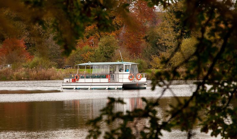 @TrenthamEstate has launched 3 new wildlife experiences!

🦫 Beaver Dusk Safari - tour England's largest beaver enclosure

🦆Daytime Wildlife Safari -  explore the diverse array of species

⛴️Wildlife Cruises - spot wildlife on the lake, aboard the electric boat

1/2