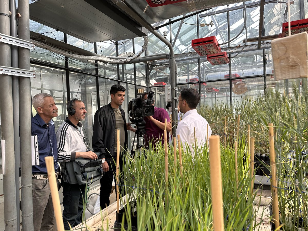 HafssaKabbaj's tweet photo. Something is cooking 😊. Stay tuned to learn more about @ICARDA strategies to acheive #food_sovereignty in the case of #Morocco
 @ElHaddadNoure @fillobax @Miguel_ICARDA https://t.co/6VJyesunTN