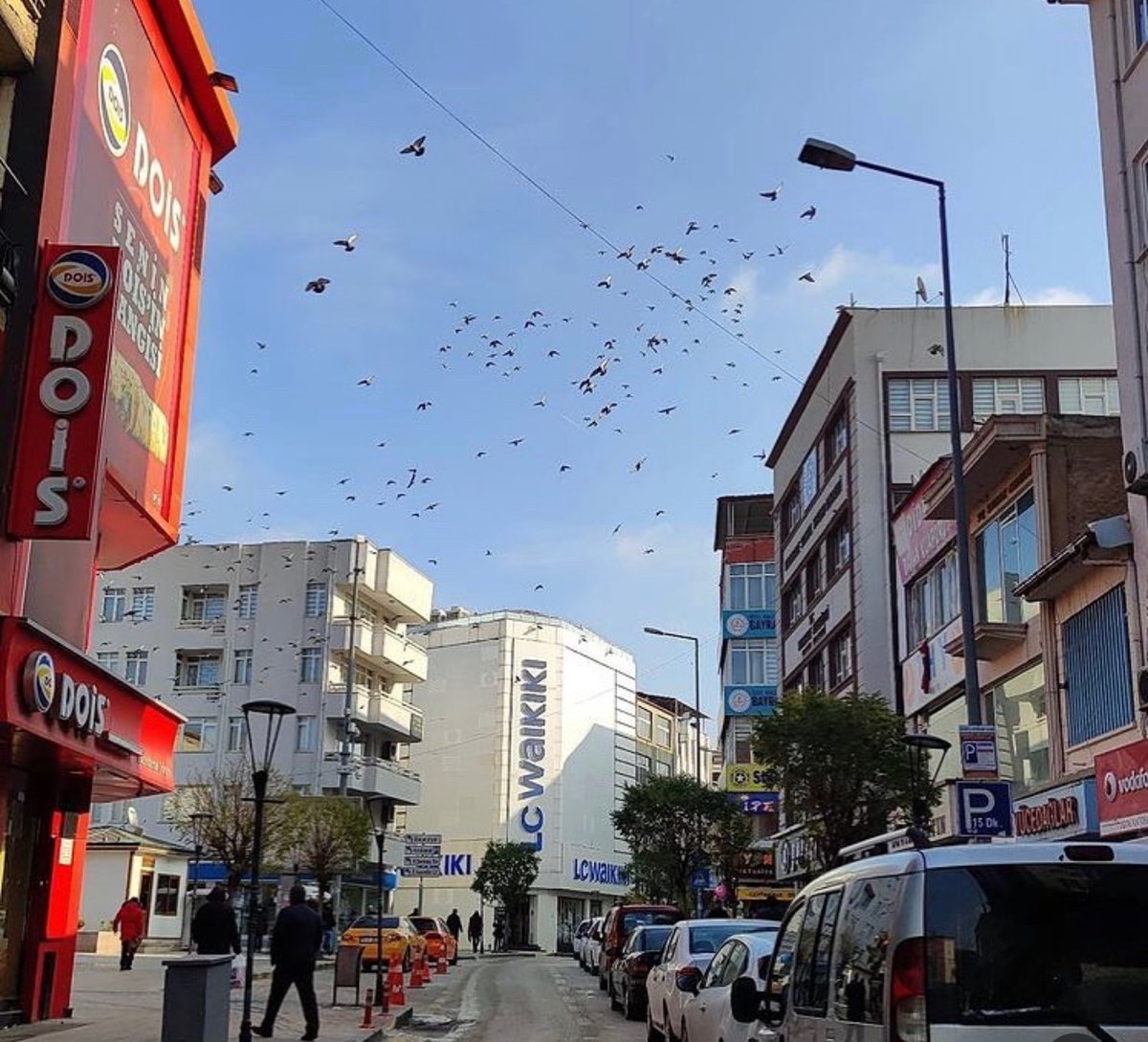 Kırıkkale Geyik tweet media
