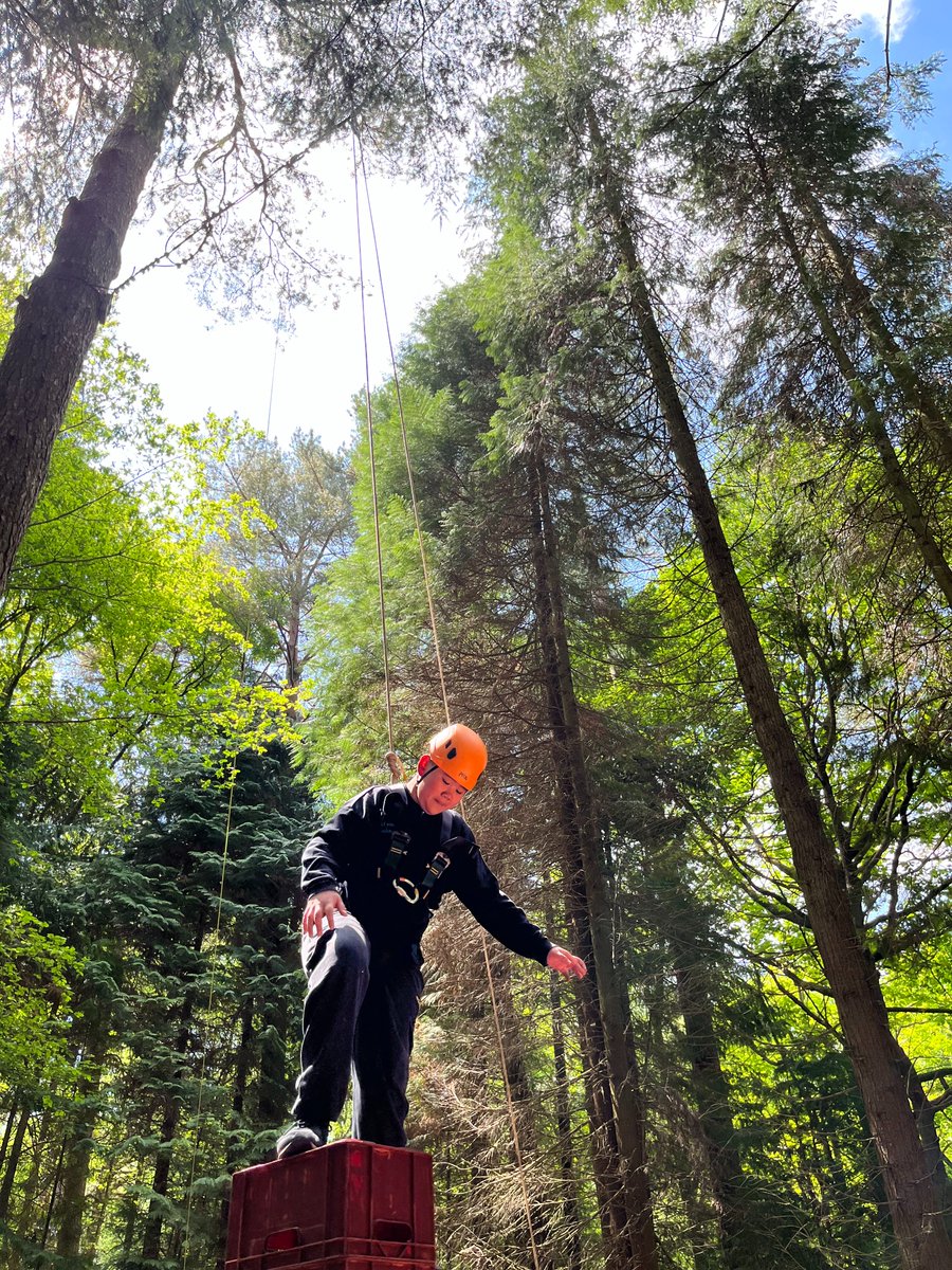 Sunnyhill Primary tweet media