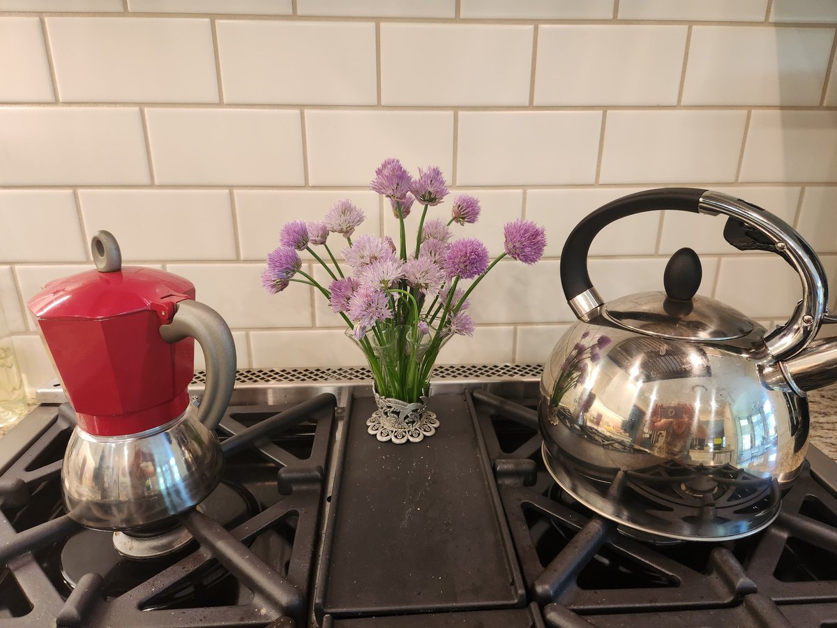 @lamm_mh Tea kettle, coffee pot and chives ... solid liquid extraction applications for all... also plant secondary metabolite pathways and chemistry, flux but here just enjoying the color of the chives... chemical #engineering inspiration @ChEnected
