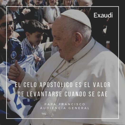 #PapaFrancisco: El celo #apostólico es el valor de levantarse cuando se cae #AudienciaGeneral