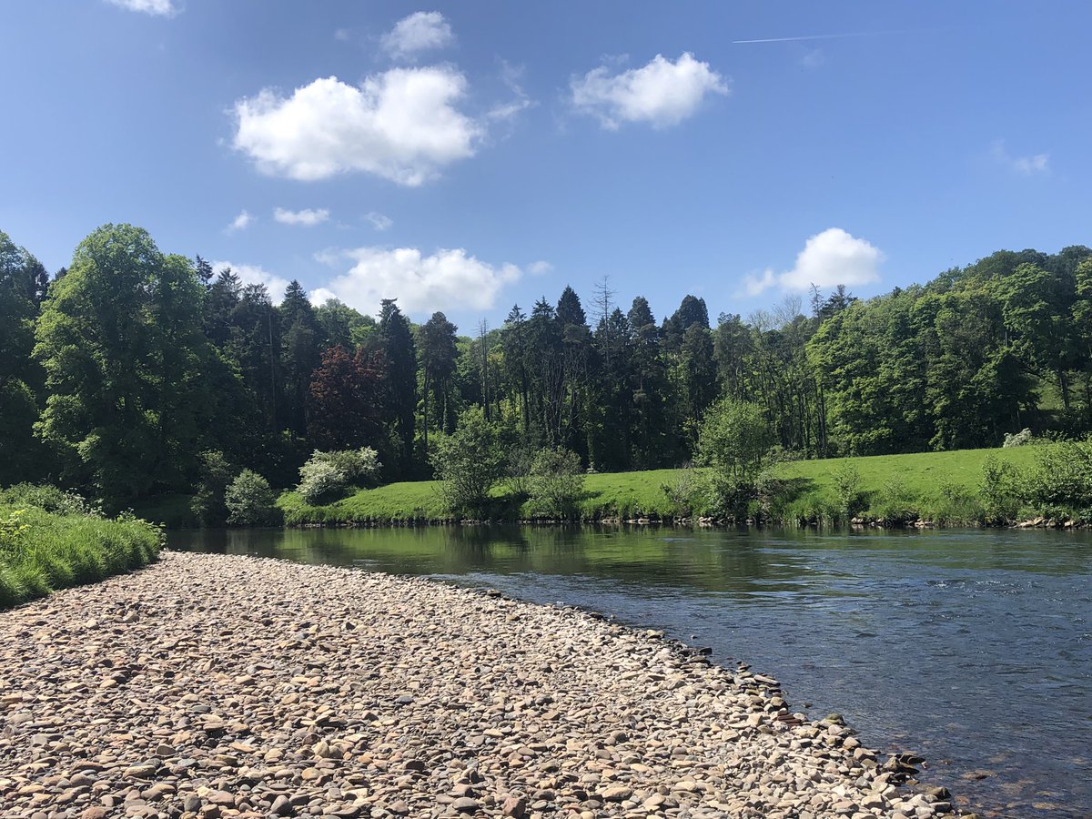 GillReads's tweet photo. Perfect day to take TOIL and do another leg of the Clyde Walkway. Saw the Motherwell otters, kingfishers and so many sand martens! Then got a bit stranded in a garden centre, but was worth it https://t.co/87lJurEL2P
