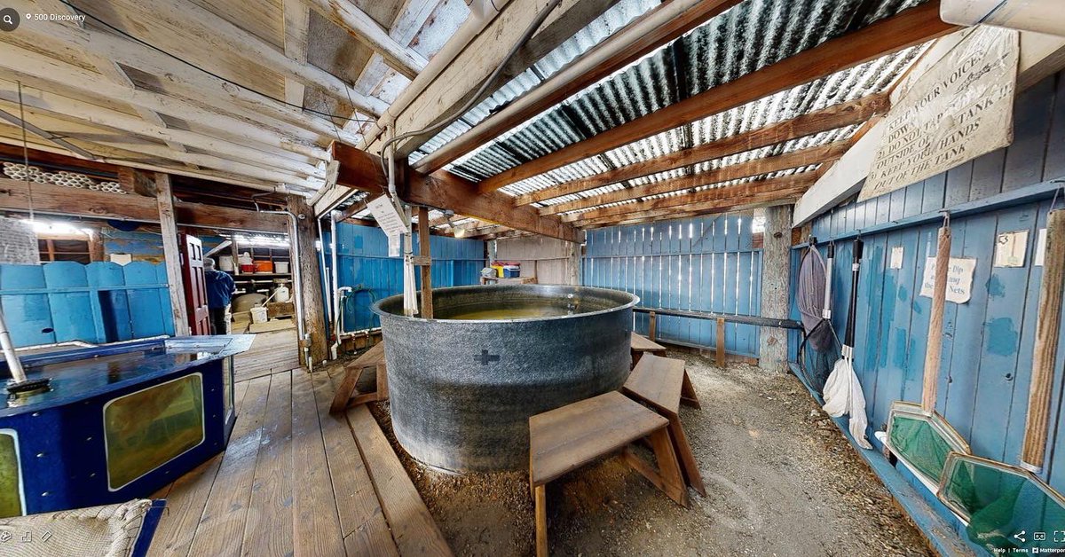 TenjiInc's tweet photo. Take a peek at one of our recent site visits to The Marine Science Institute @sfbaymsi to get an early look at what the “before” of the project looks like. We are excited to be working with the Institute to upgrade their aquarium exhibits as they celebrate their 50th anniversary. https://t.co/JNTzXOUnBi