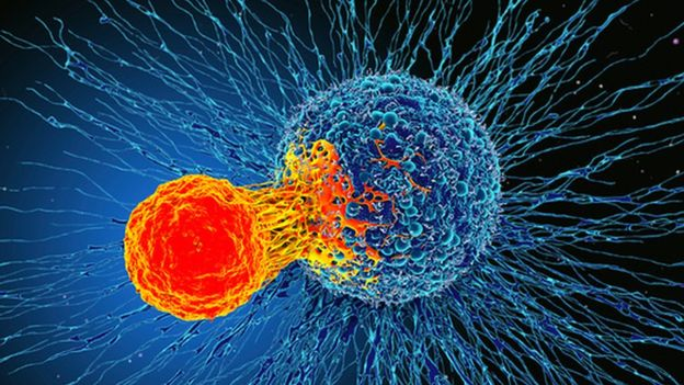 La_BonneActu's tweet photo. 🔴 Bientôt un vaccin ARNM pour lutter contre l'un des cancers les + meurtrier, celui du pancréas ?

Des chercheurs ont découvert un moyen d'éliminer la capacité des cellules cancéreuses pancréatiques à former des métastases.

Au stade métastatique, la survie à 5 ans est < à 5 %. https://t.co/Cx5NS7t1EP