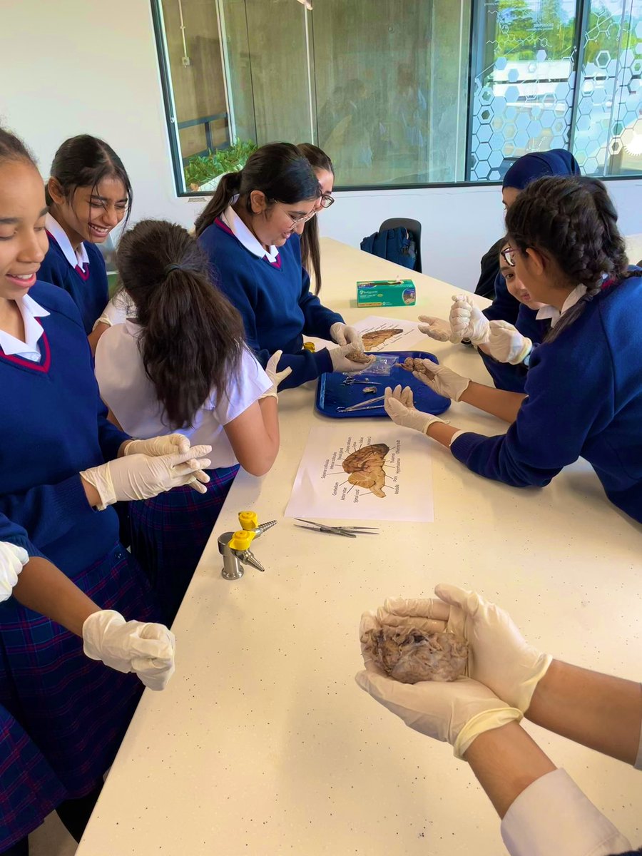 NWC STEM tweet media