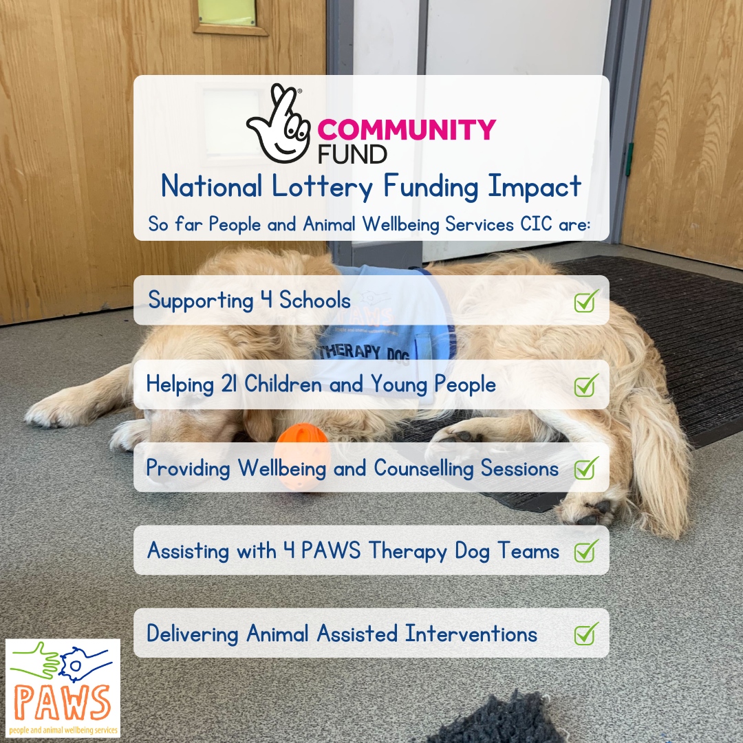 Read all about how we’ve been getting on &amp; the impact of our <a href="/TNLComFund/">The National Lottery Community Fund</a> Grant in our latest blog!

PAWS CIC are so proud to be able to offer our services to support our communities in thriving, strengthening relationships and understanding themselves.