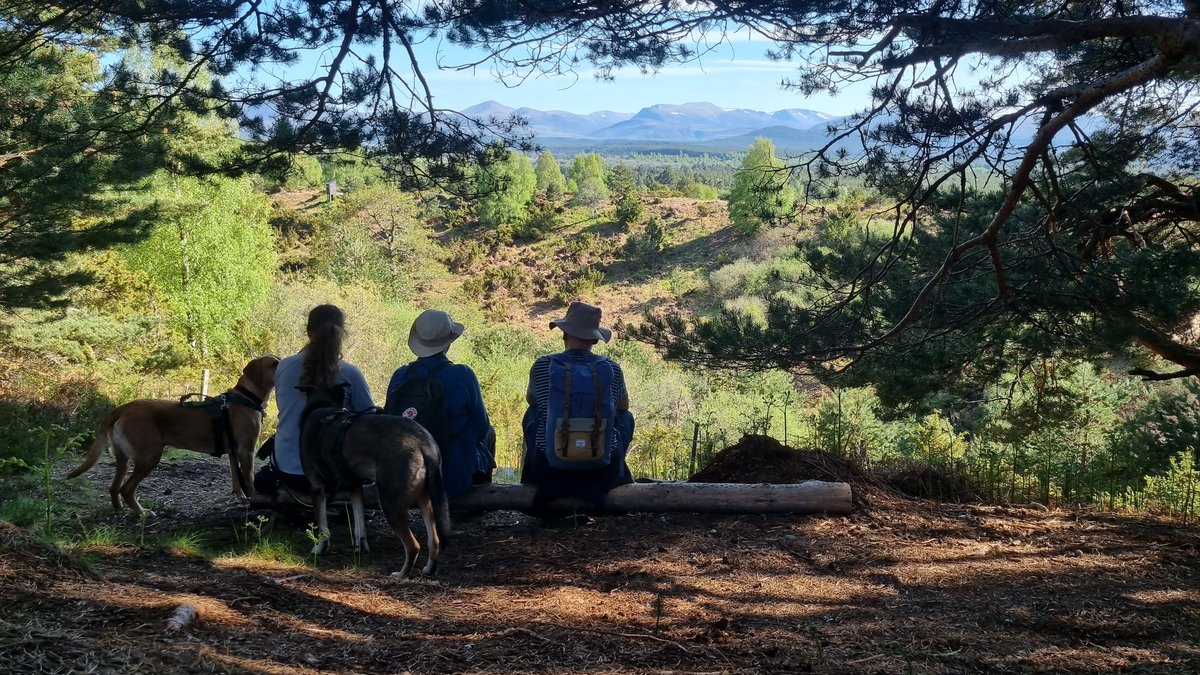 Arc Guiding tweet media