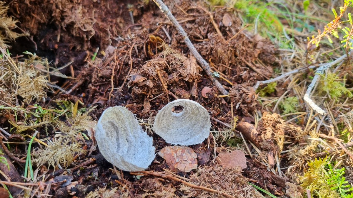 Arc Guiding tweet media