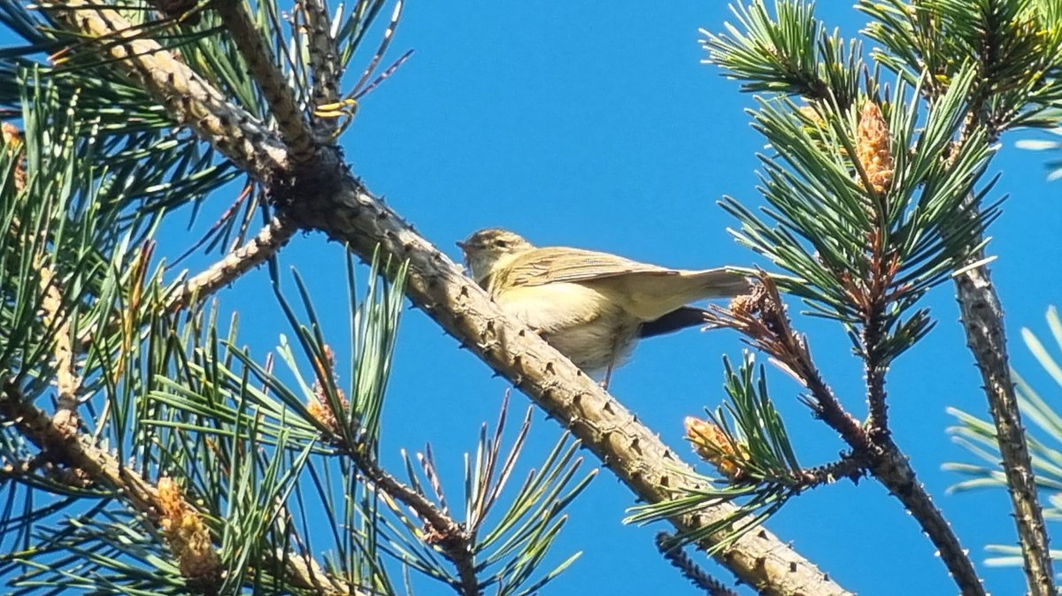 Arc Guiding tweet media