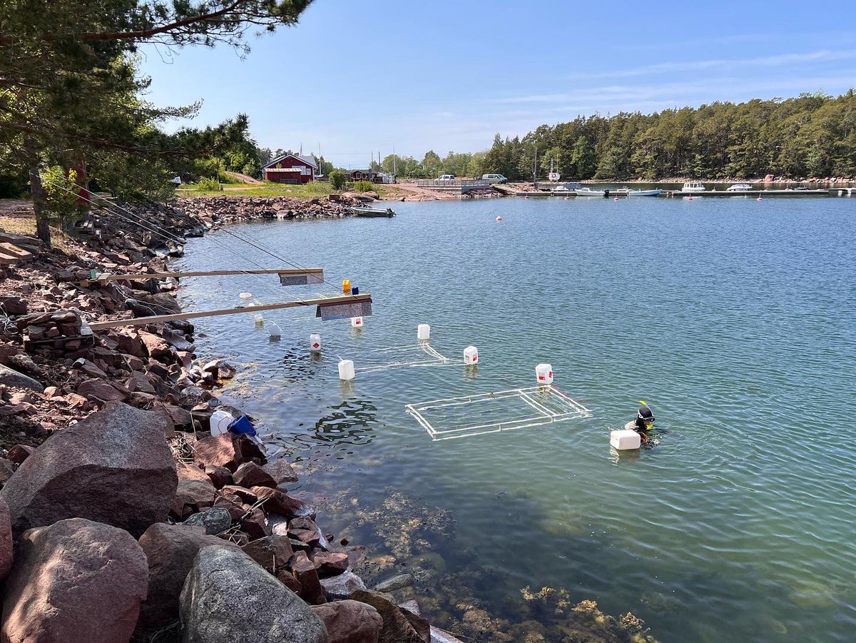 Christian Pansch tweet media