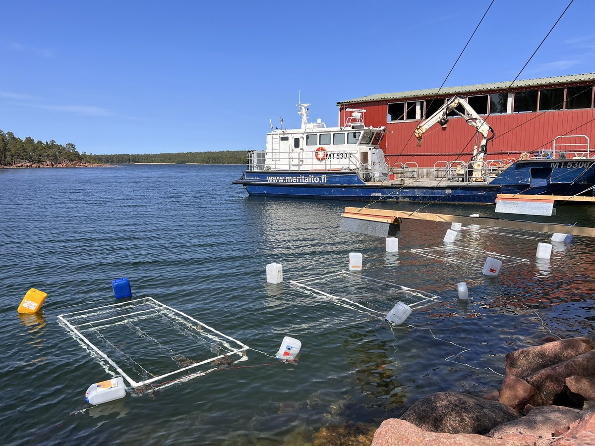 Christian Pansch tweet media