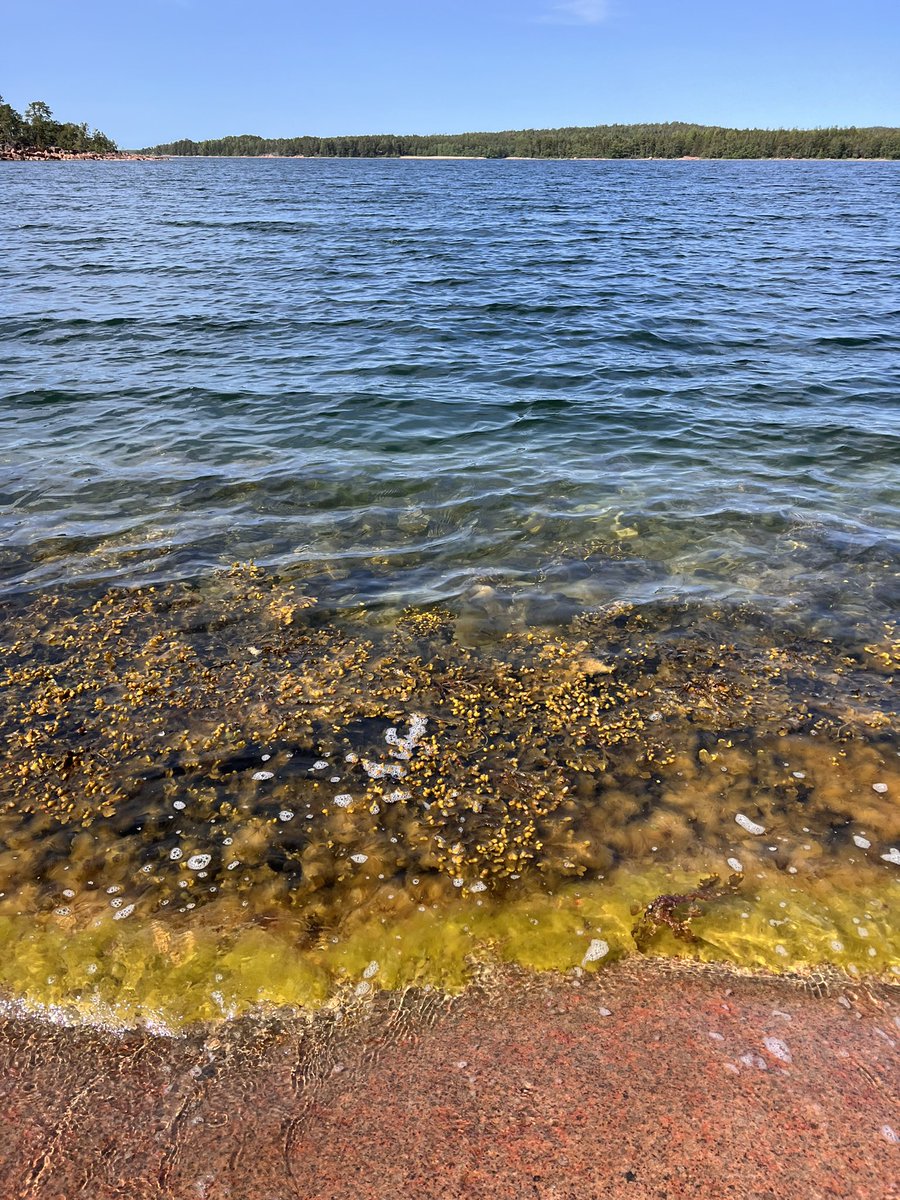 Christian Pansch tweet media