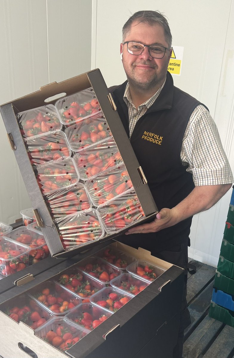 Norfolk grown strawberries at there very best. Daily deliveries across Norfolk #norfolkproduce #norfolkgrown #strawberry #Norfolk #norfolksfinest