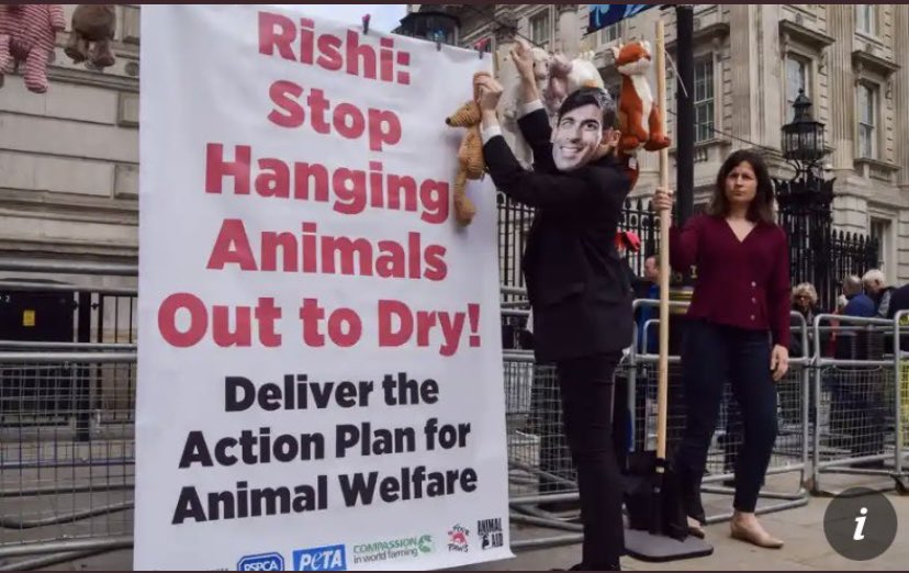 Almost 14 million people elected this government on a platform which promised to deliver for animals. Today it failed in it’s promise after dropping the Kept Animals Bill .This is totally unacceptable and changes must be made to deliver what is clearly needed #ActionForAnimals