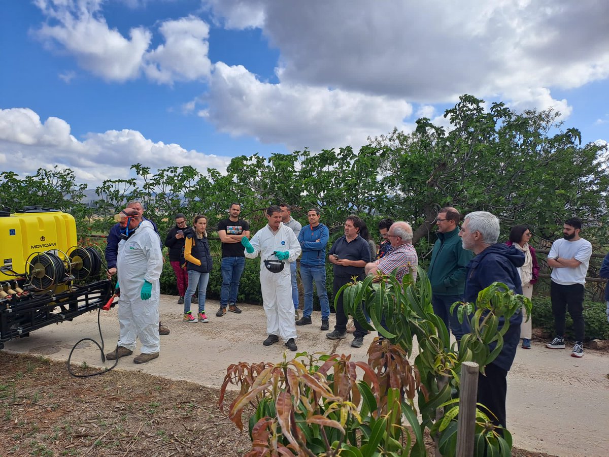 IfapaJunta's tweet photo. 🥭🥑 El centro #IFAPA de Málaga imparte cursos sobre gestión integrada de plagas y enfermedades en aguacate y mango

📌 Los alumnos se forman para identificar las plagas y enfermedades, aplicar los distintos métodos de control y conocer el marco legislativo en sanidad vegetal https://t.co/7cuMgEpy9o