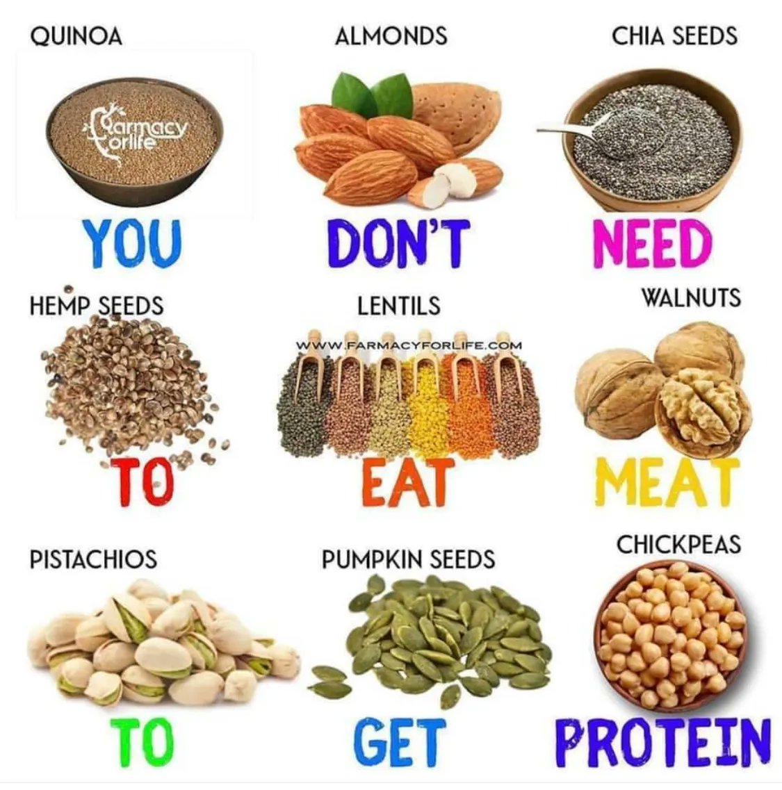 'You don't need to eat meat to get protein' #nutrition #wellness #wellnessblog #plantbased #plantmedicine #plantbasednutrition #plantprotein  #foodismedicine #healthyliving #healthylifestyle   #wellnesswarrior #healthylivingtips  #healingwithfood #healthy #healthyfood