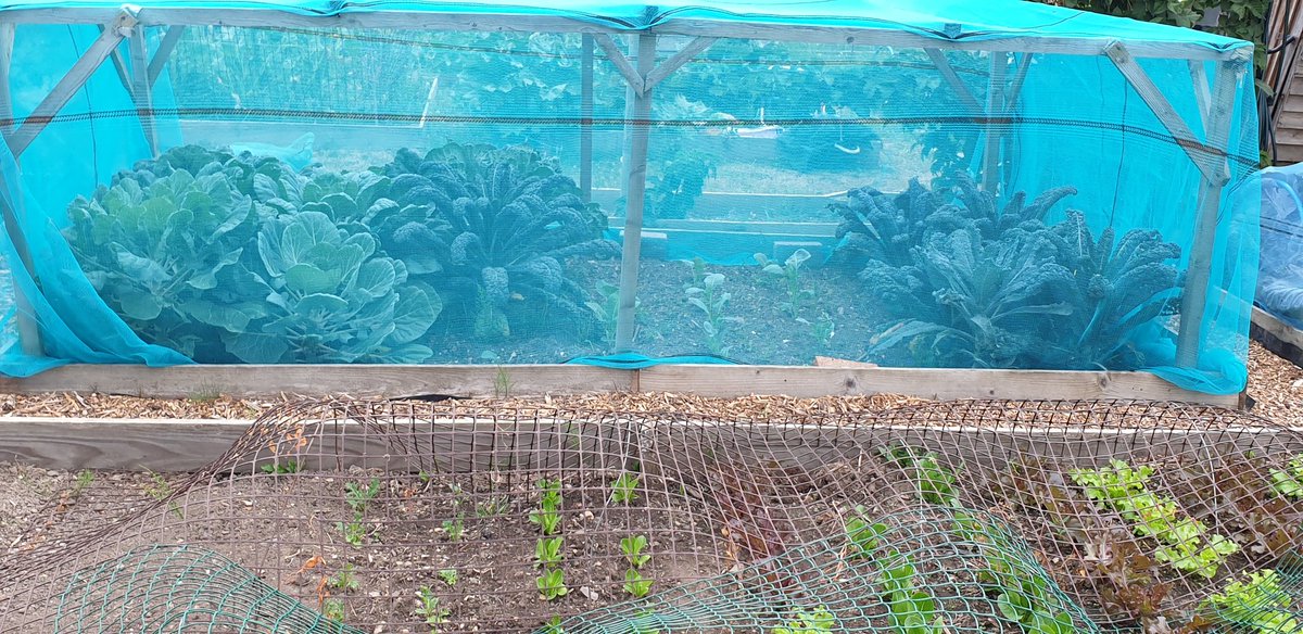 Plot16c2 tweet picture