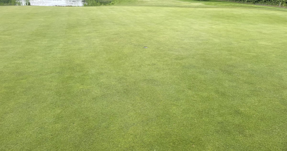 Scott Gardner tweet media