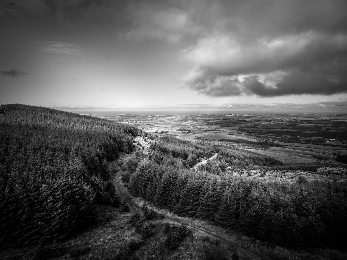 Cloudy Skies

Couple of shots from up over the Ennerdale moors area.

#landscapephotography #fields #photography #clouds #woods #blackandwhitephotography #monochrome #fields #farming #openspaces #lakedistrict #cumbria #aerialphotography #dronephotography