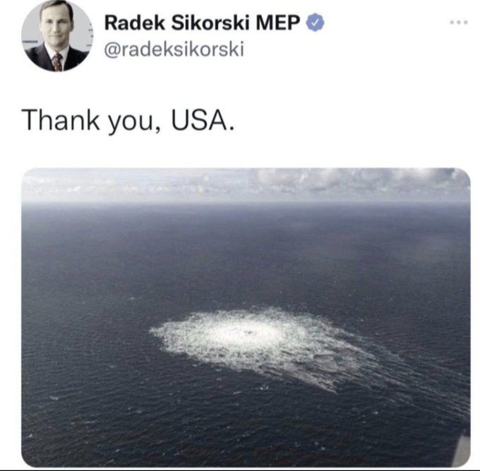 https://pbs.twimg.com/media/Fw_Ux3dXsAMaZ8H?format=jpg&name=small