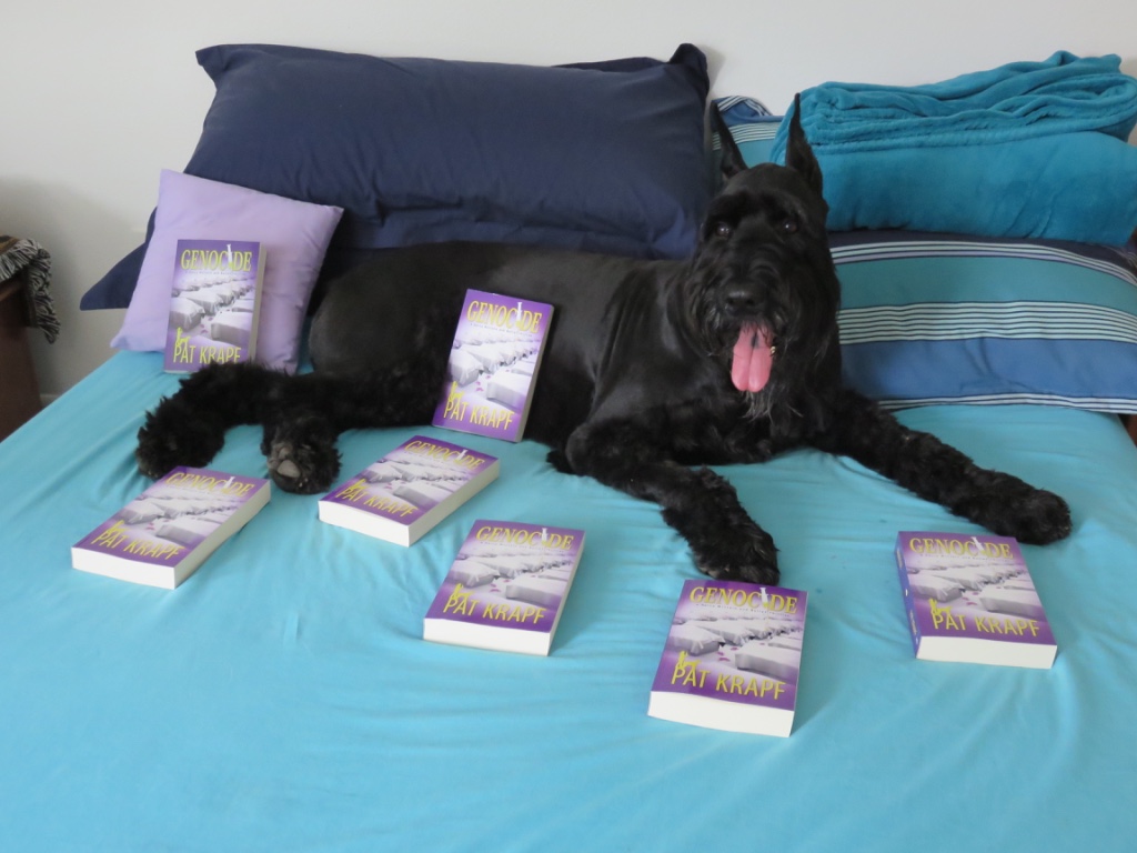 I haven't yet gotten a photo of Bullet with CLON-X, but doesn't he just pose so well?
#GiantSchnauzer #AuthorDogs #AmReadingThrillers #BigDogs