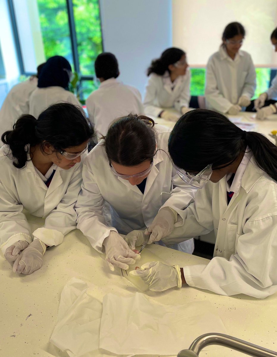 NWC STEM tweet media