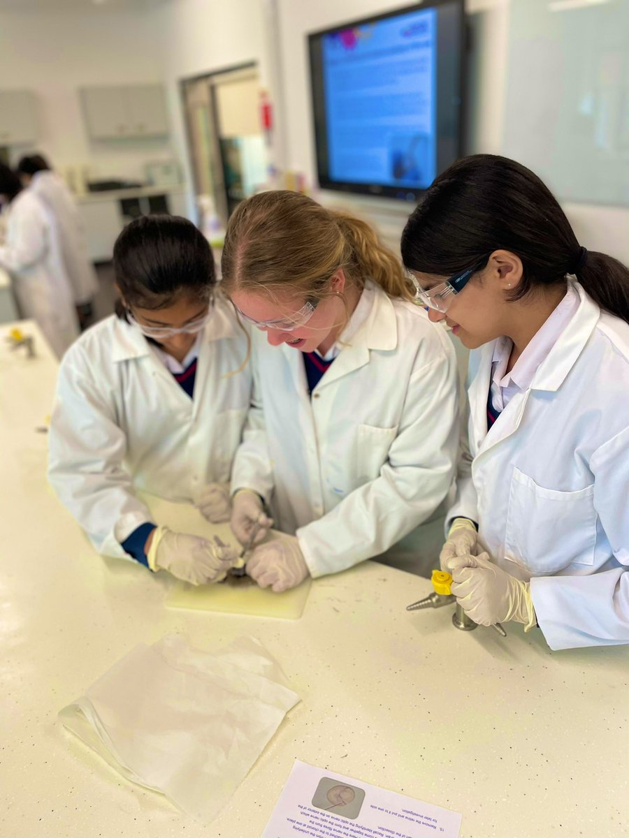 NWC STEM tweet media