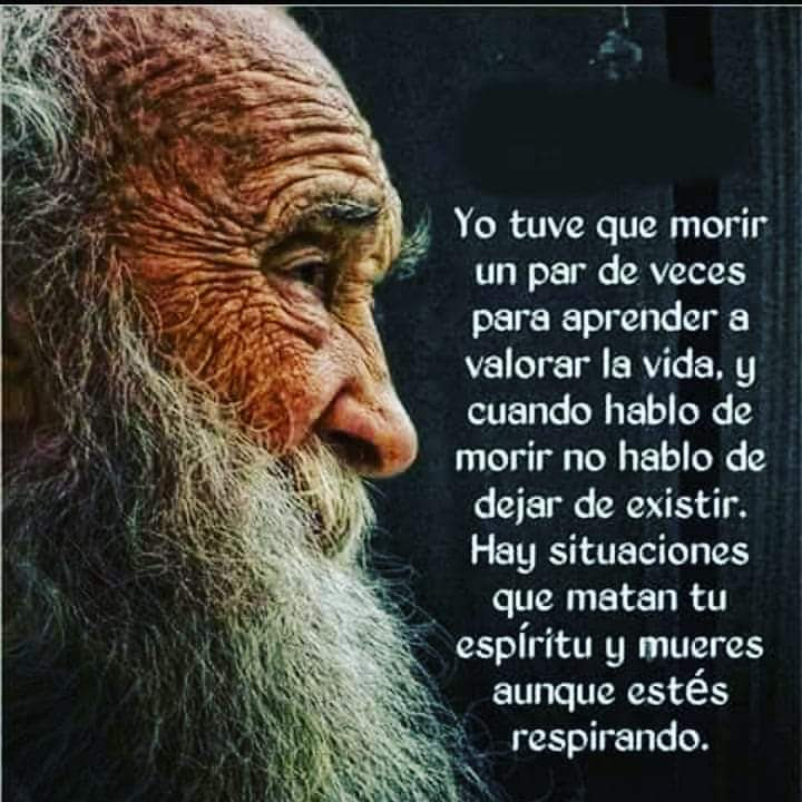 Doris Rambau 🎨🖌️🎨 tweet media