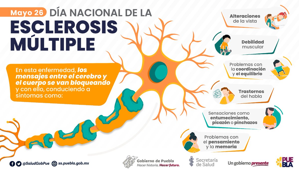 SaludGobPue's tweet photo. La esclerosis múltiple es la primera causa de discapacidad repentina en adultos jóvenes, que afecta más a las mujeres que a los hombres, y suele comenzar entre los 20 y los 40 años. 

Conoce más sobre este padecimiento en el siguiente enlace: https://t.co/7LkGMN5TvJ https://t.co/1fW1XE94ve