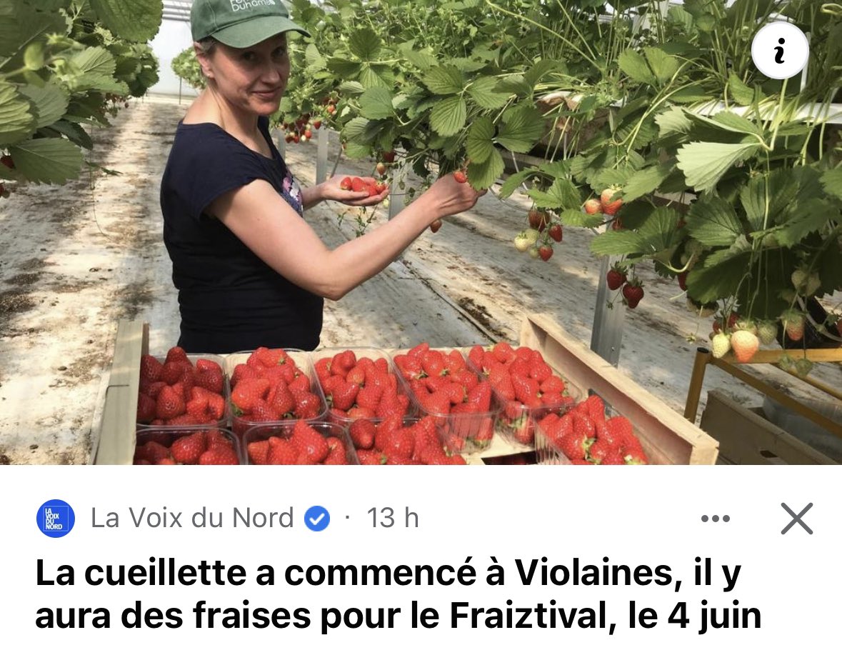 BrunoBilde's tweet photo. Bon courage aux maraĂźchers de Violaines qui comme chaque annĂ©e vont nous rĂ©galer pour le Fraiztival de #Violaines le 4 juin prochain đ https://t.co/pRXywTY9WX