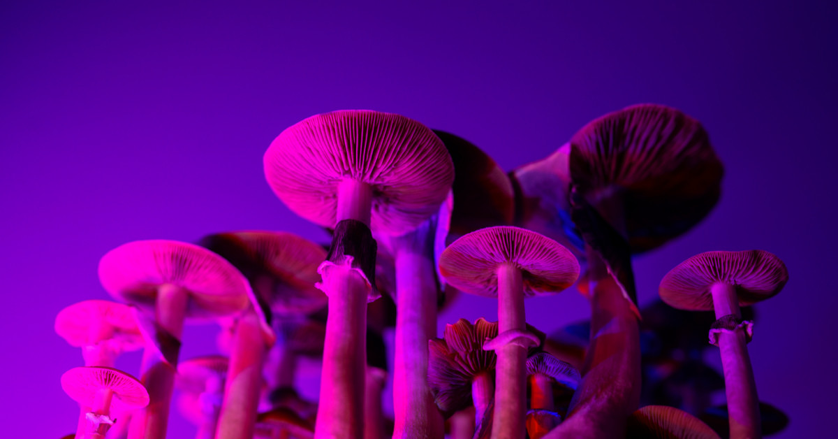 Latest Psilocybin Microdosing Study powered by Quantified Citizen 🧪🌿🧠🔬 Read more: buff.ly/3axttQo