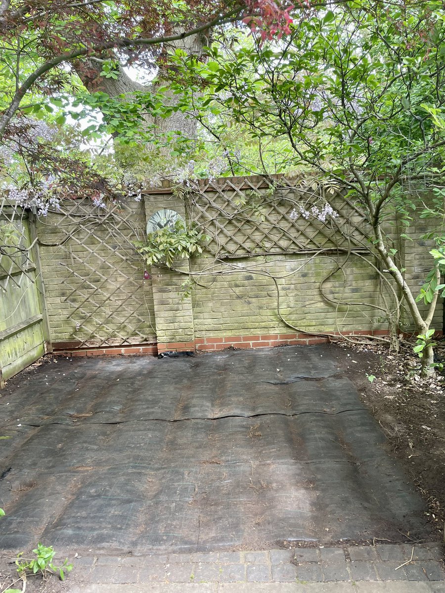 ck_works's tweet photo. That looks better already!
Practically swept up the joists of this rotten #decking 
Obviously never used #UC4treatedtimber #GardenDesign #Leatherhead https://t.co/4JTRCREo4C