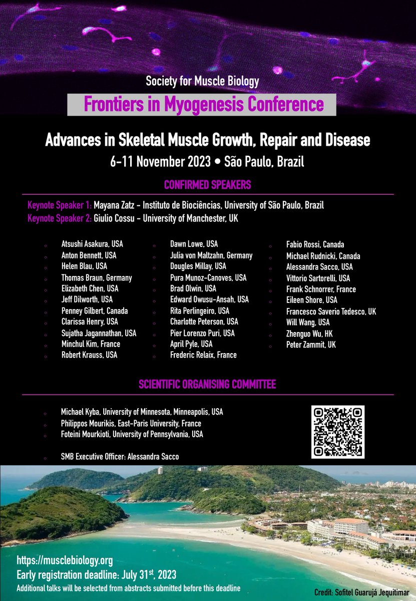 Join us at the 2023 Frontiers in Myogenesis Conference in Brazil in November (musclebiology.org), to learn about the latest advances in skeletal muscle research! #FrontiersInMyogenesis2023 #myotwitter